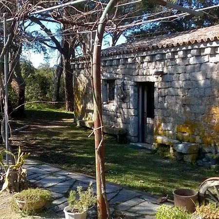 Agriturismo La Vigna Tempio Pausania Exterior photo